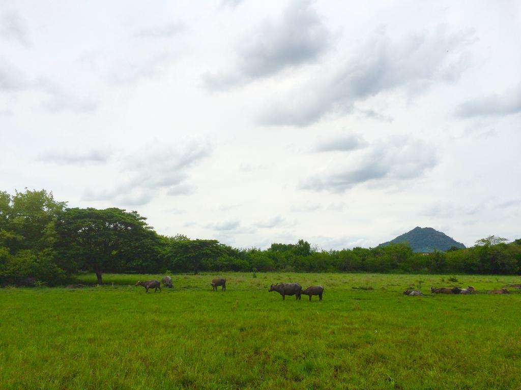 Wanlapa Farmstay Ban Khok Krathiam Экстерьер фото