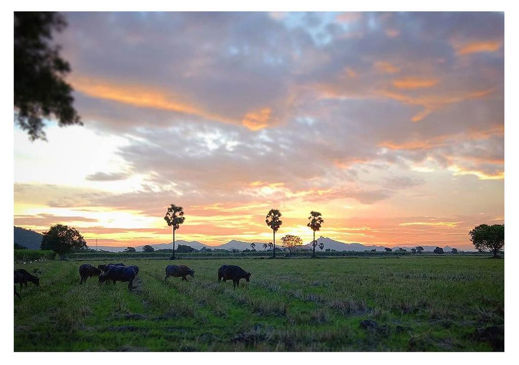 Wanlapa Farmstay Ban Khok Krathiam Экстерьер фото