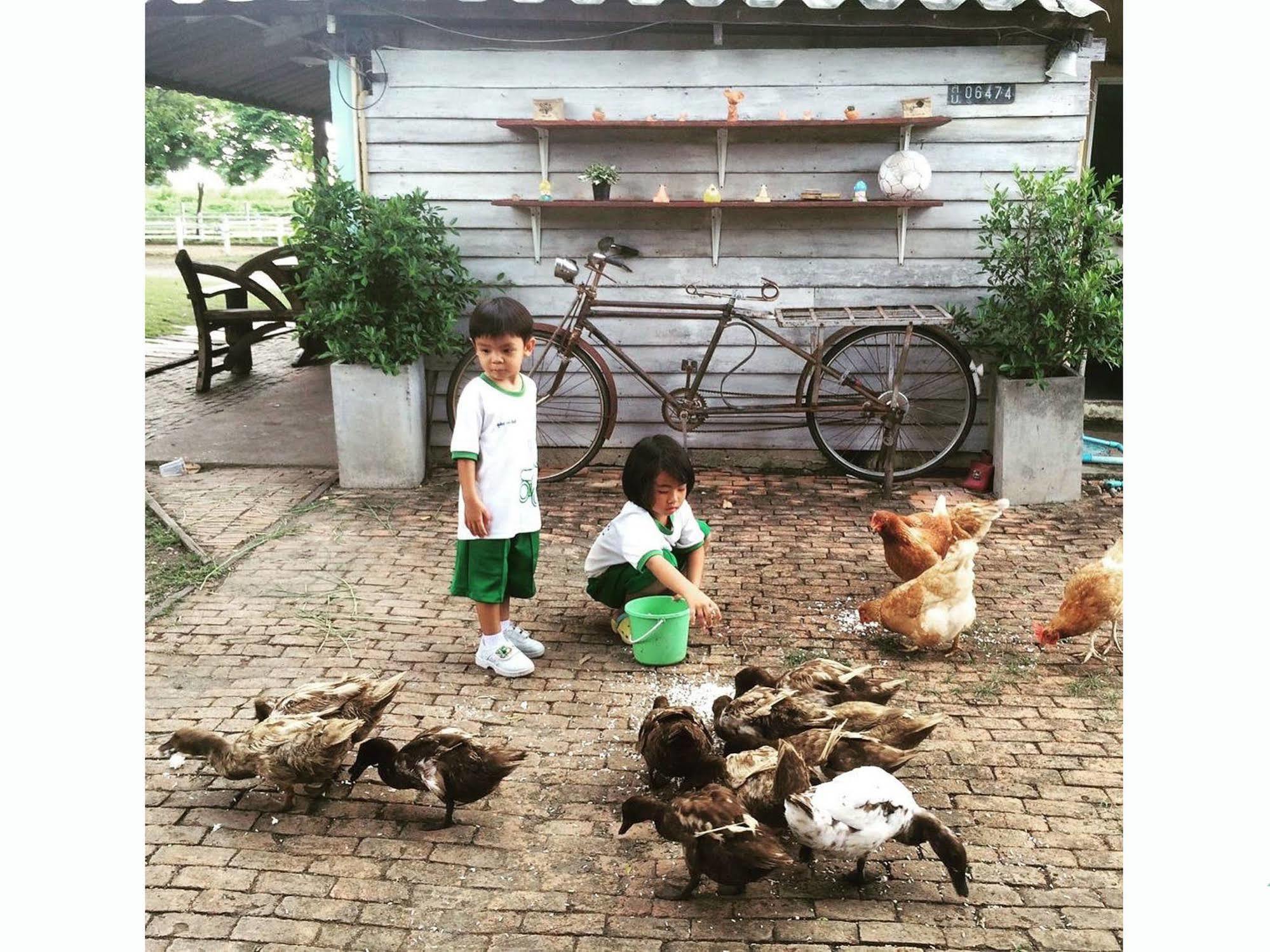 Wanlapa Farmstay Ban Khok Krathiam Экстерьер фото